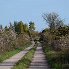 Öland ... Insel der geheimnisvollen Wege