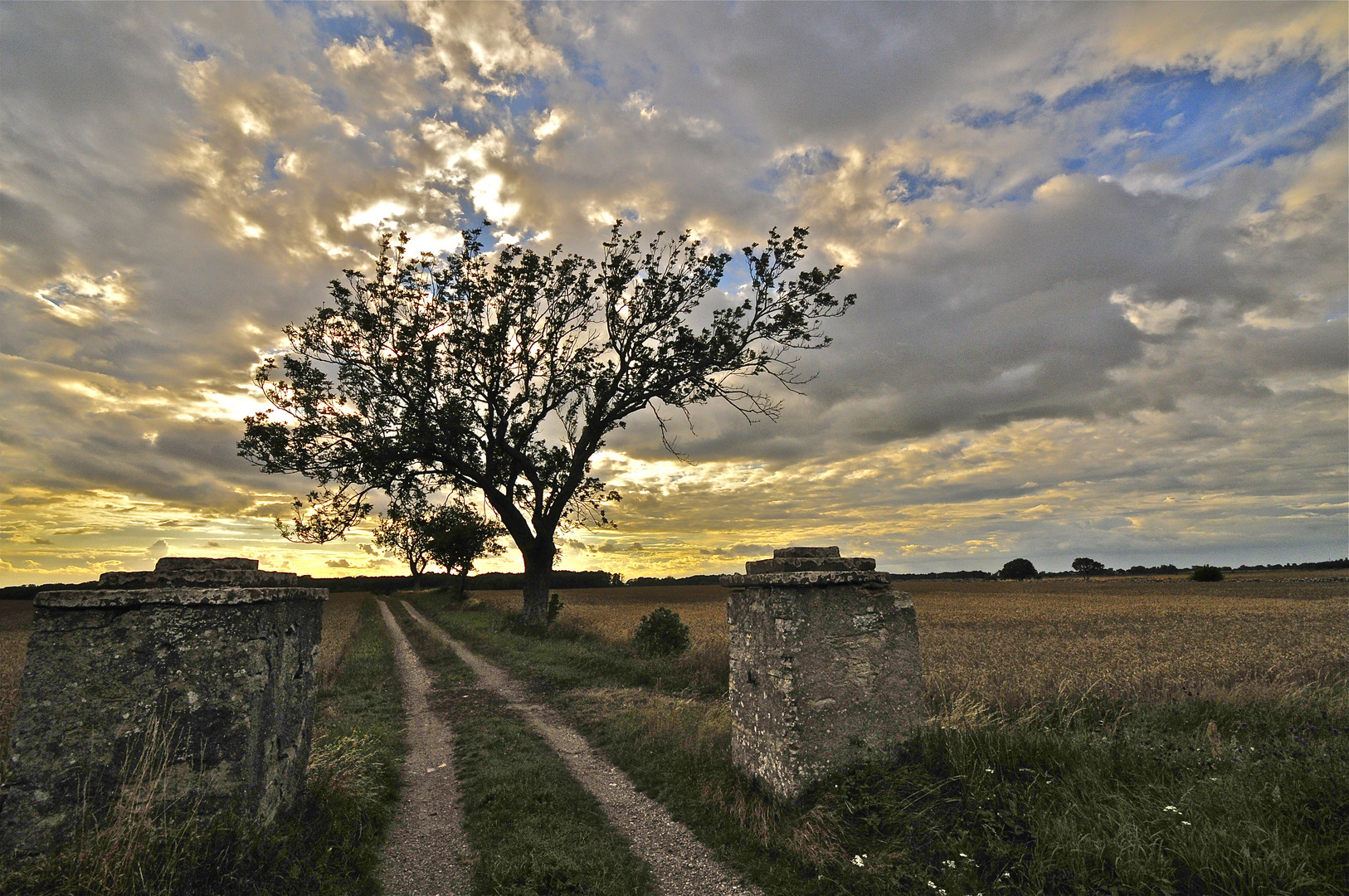 Öland - Karstlandschaft Stora Alvaret