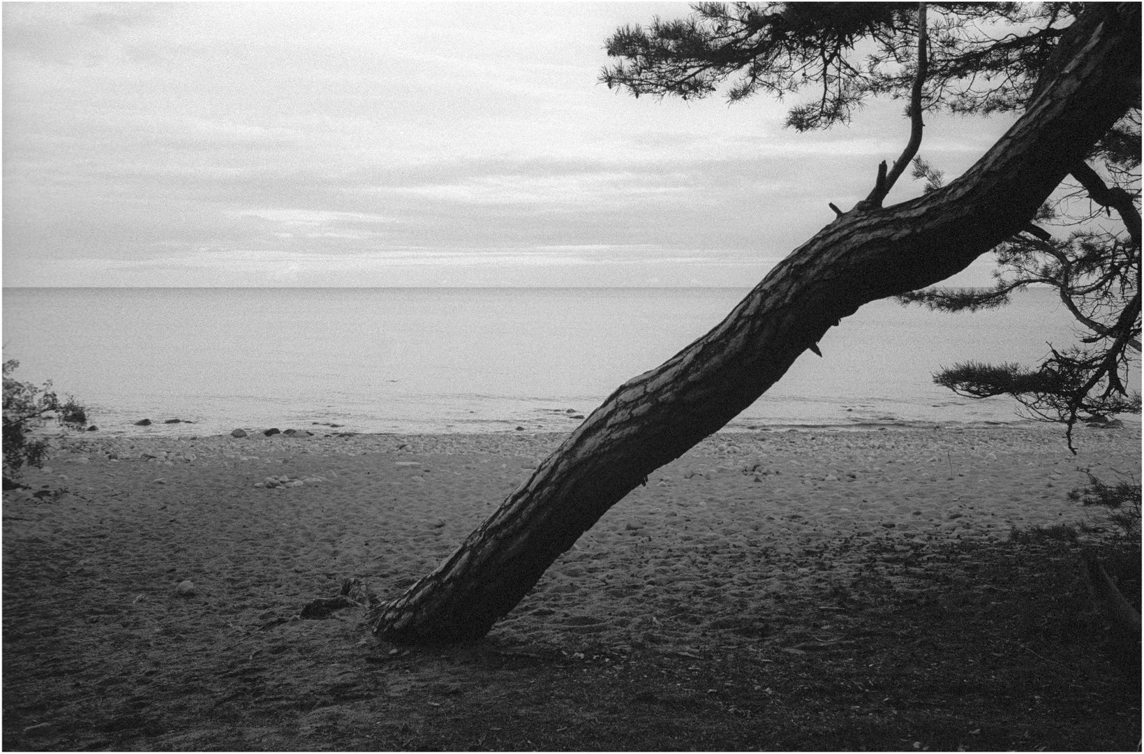 Öland - Trollskogen