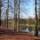 Ölbachtal bei Leverkusen-Opladen