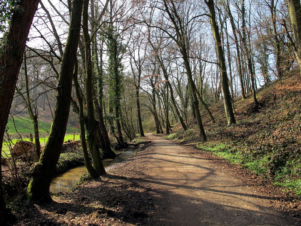 Ölbachtal bei Leverkusen-Opladen