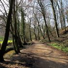 Ölbachtal bei Leverkusen-Opladen