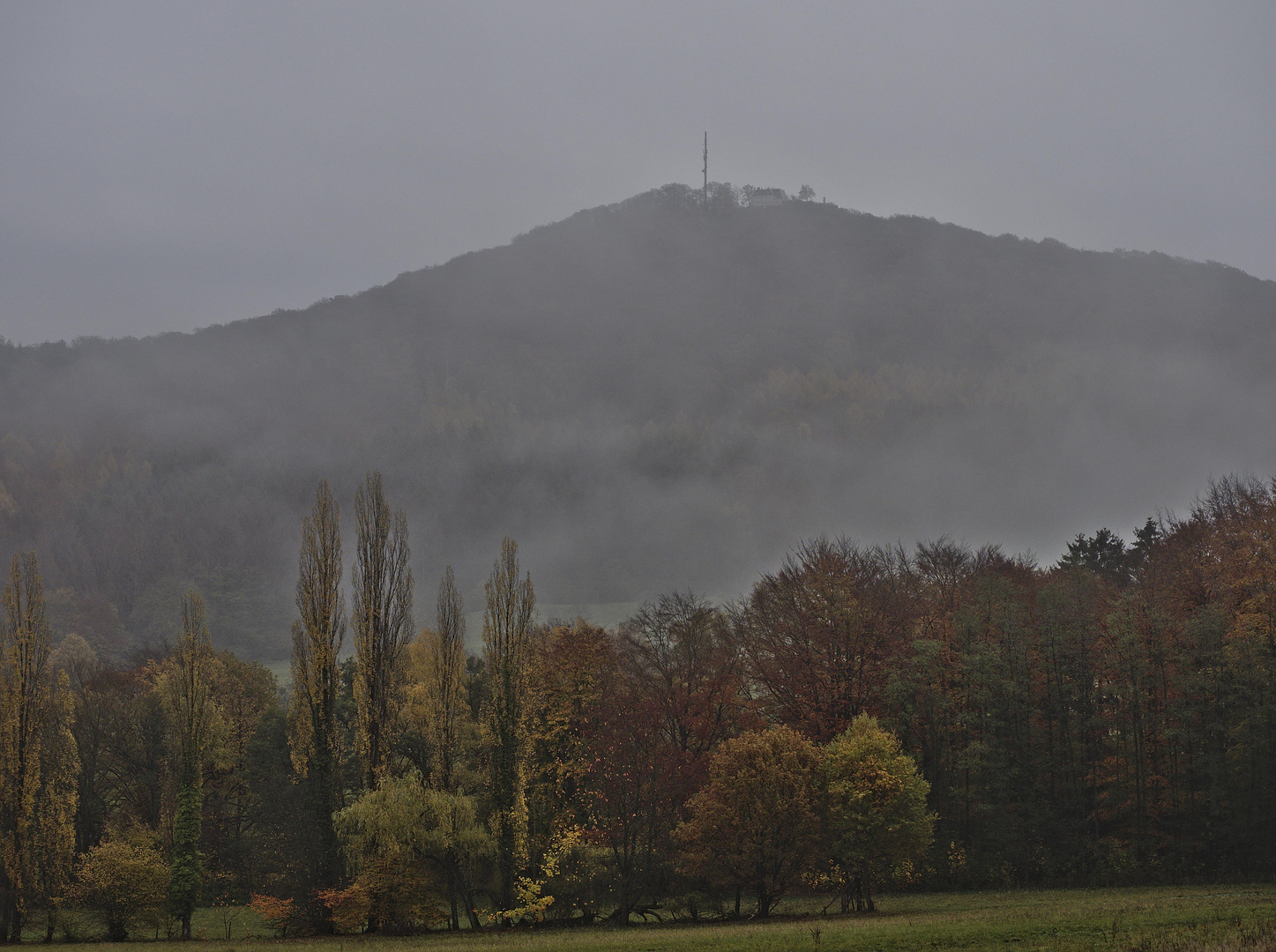 Oelberg im Siebengebirge