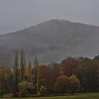 Oelberg im Siebengebirge