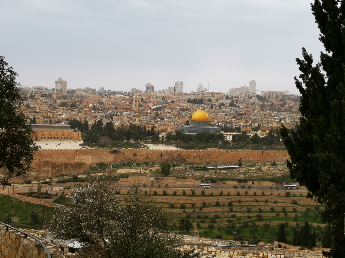 Ölberg Jerusalem