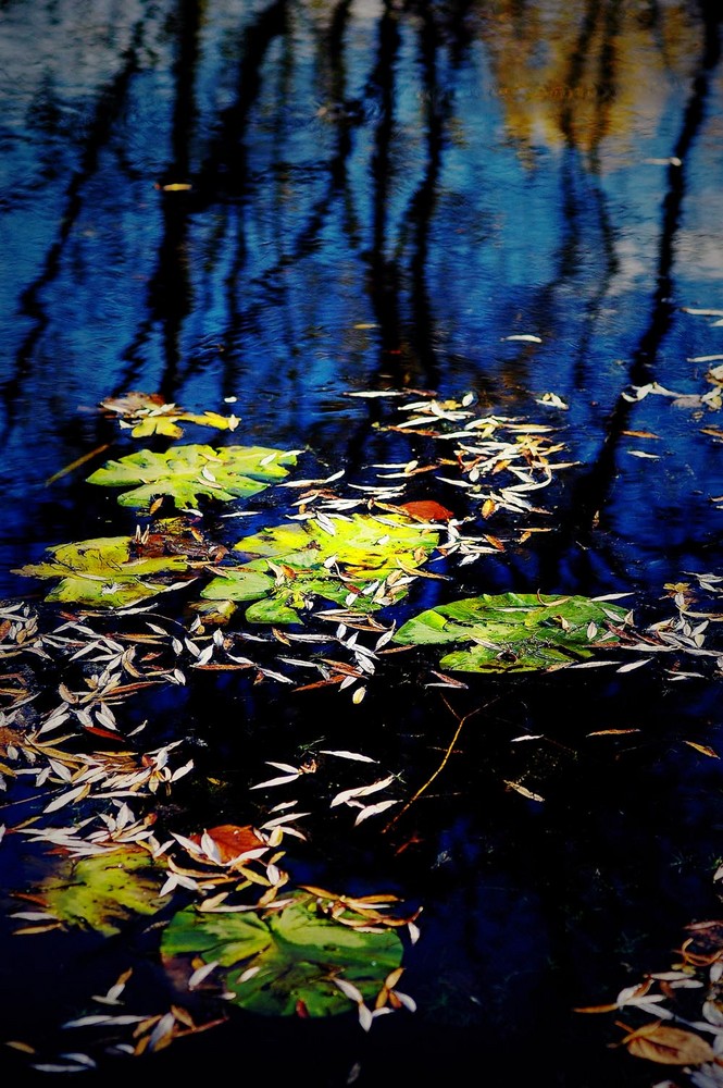 Ölgemälde-Teichecke im Herbst