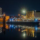 Ölhafen Mannheim 2020 -Teil II