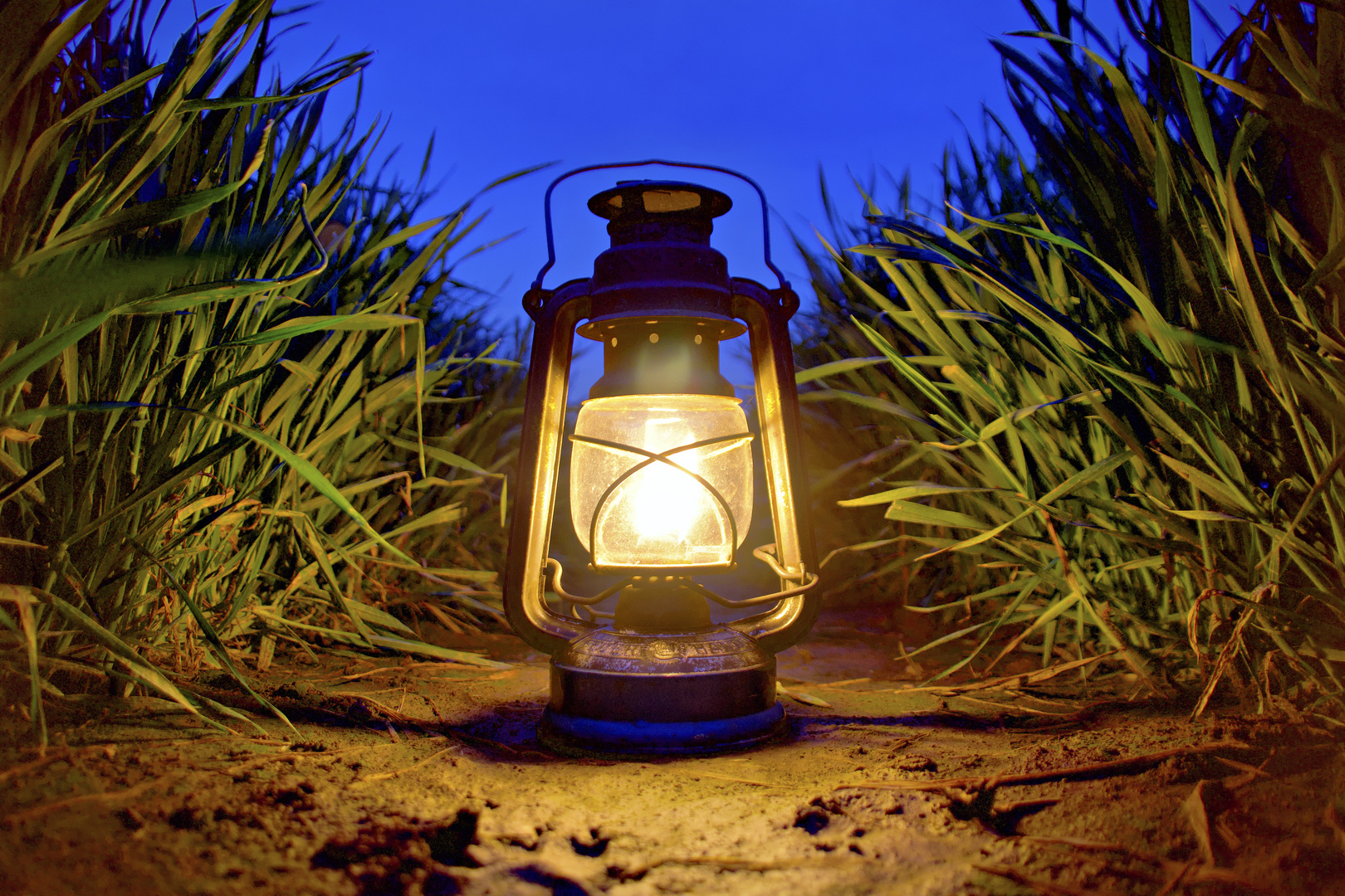 Öllampe im Getreidefeld 