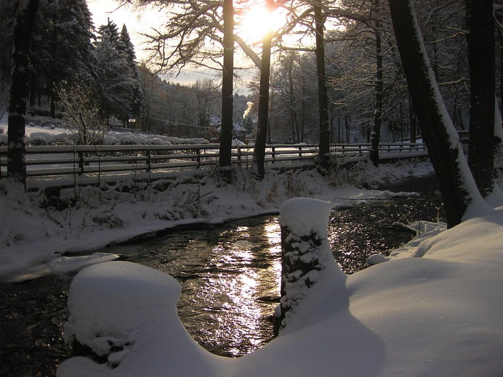 Ölschnitzlauf