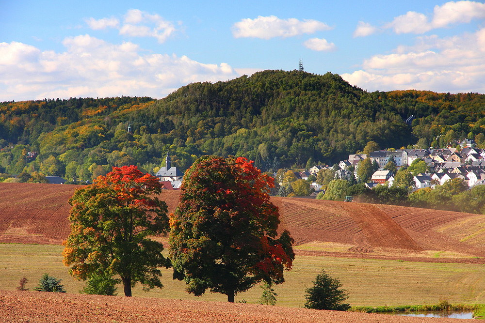 Oelsnitz/Erzgebirge