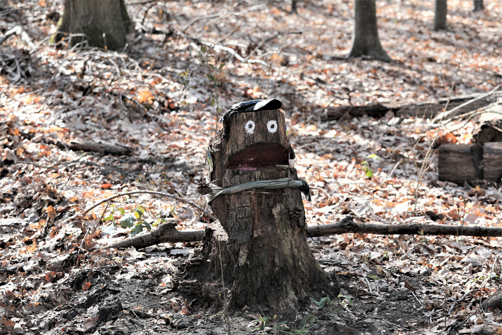 Ömmes, der Waldschrat...