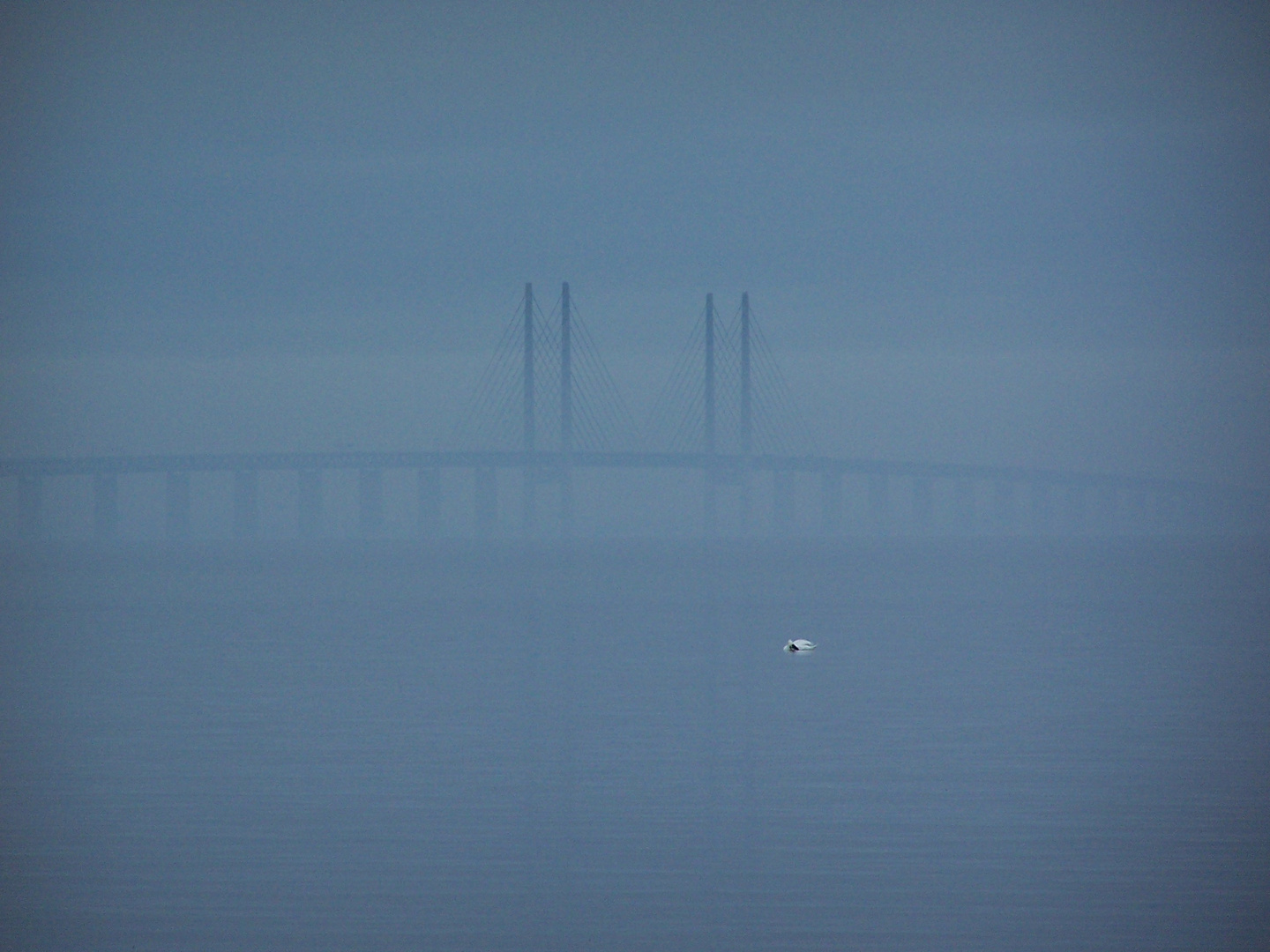 Öresund