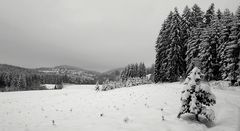 Oerlinghausen im Winter