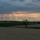 örtlich Regenschauer