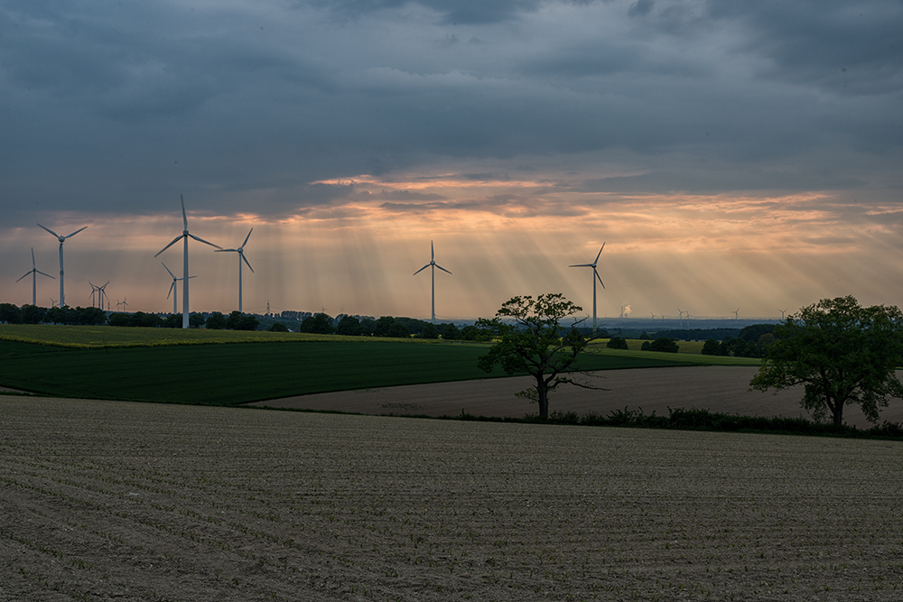 örtlich Regenschauer