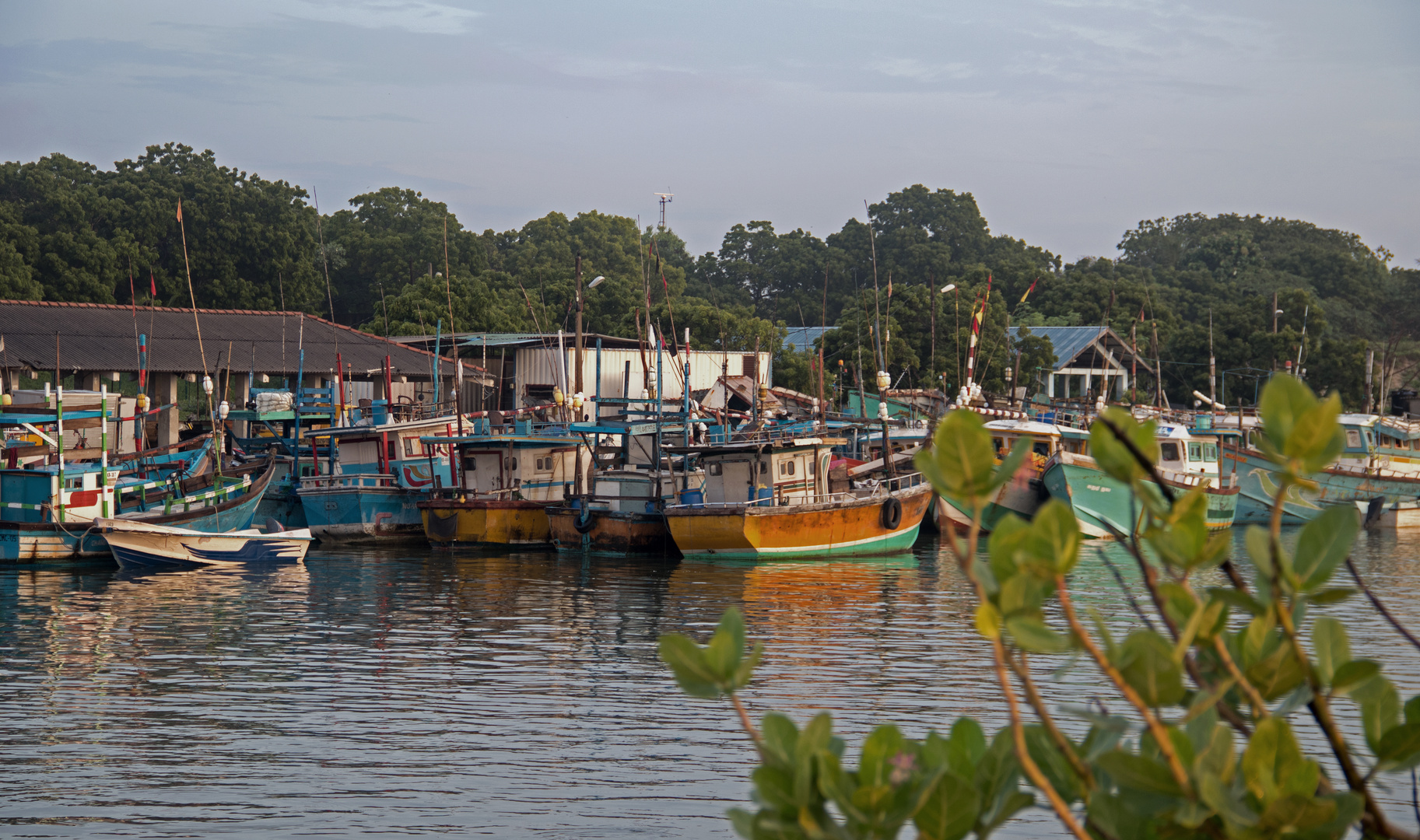 Örtlicher Hafen von Tissamaharama - Sri Lanka