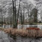 Örtze mit Hochwasser