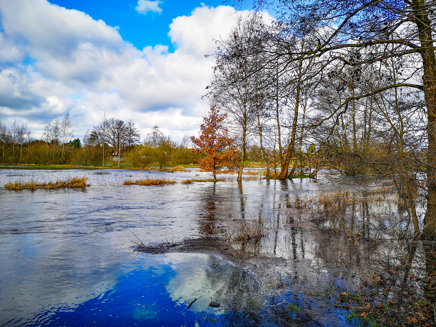 Örtzehochwasser Februar 2020