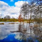 Örtzehochwasser Februar 2020