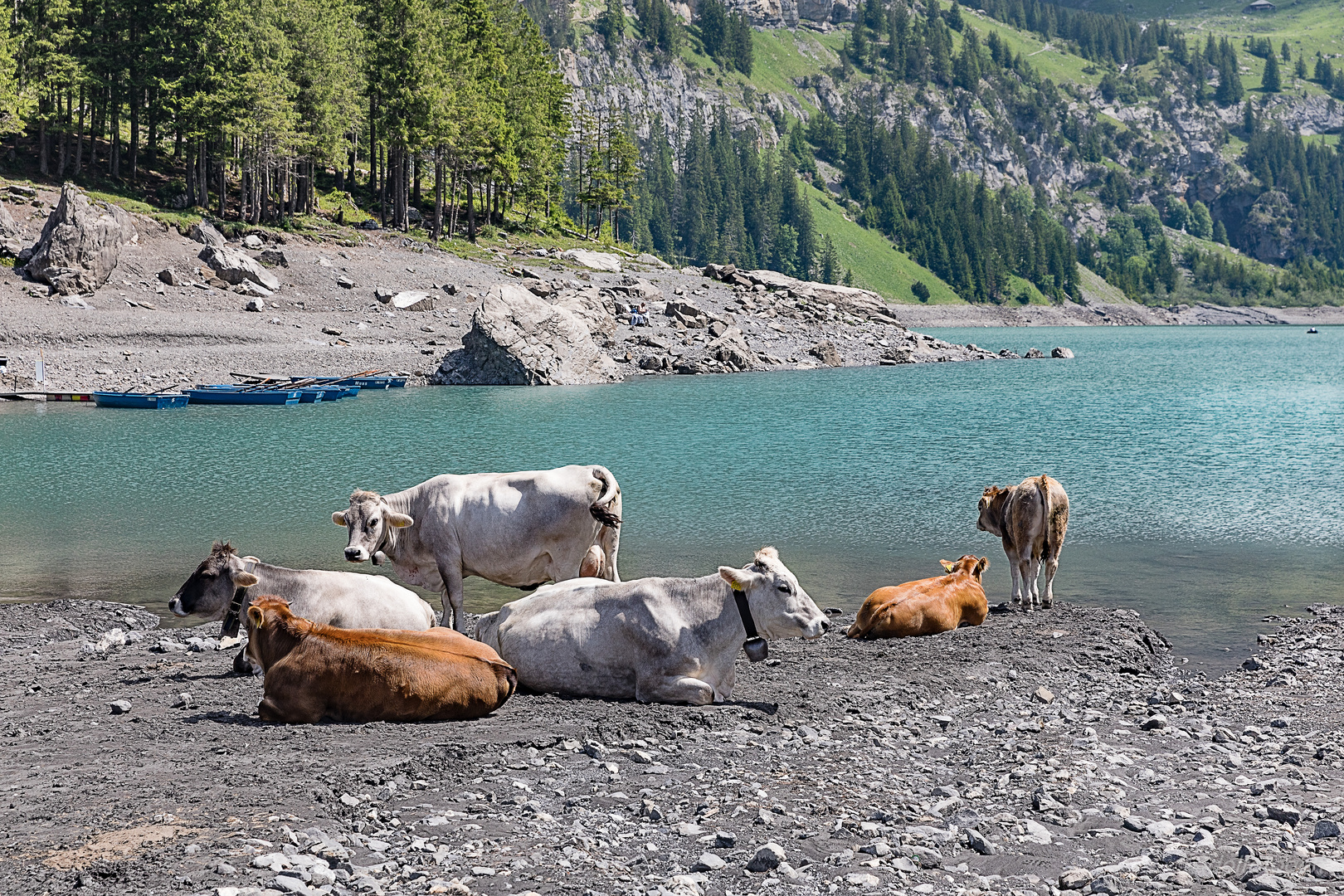 Oeschinen-See