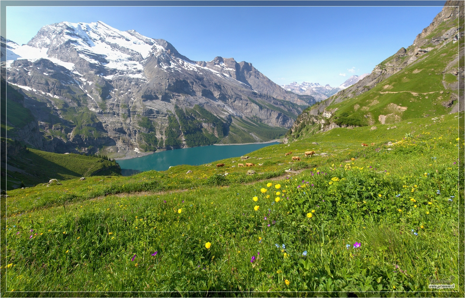 Oeschinensee 1