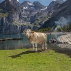 Oeschinensee