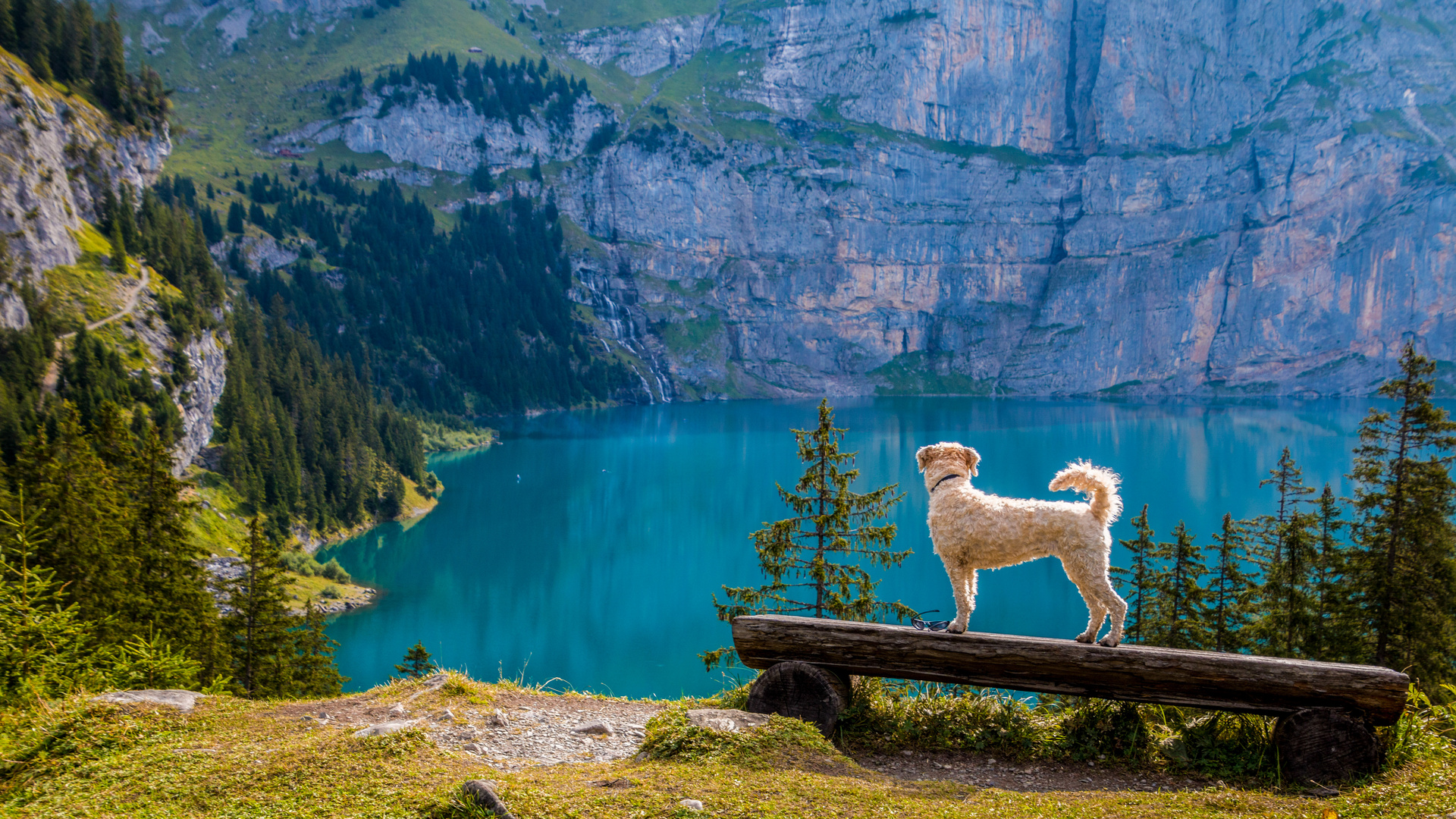 Oeschinensee