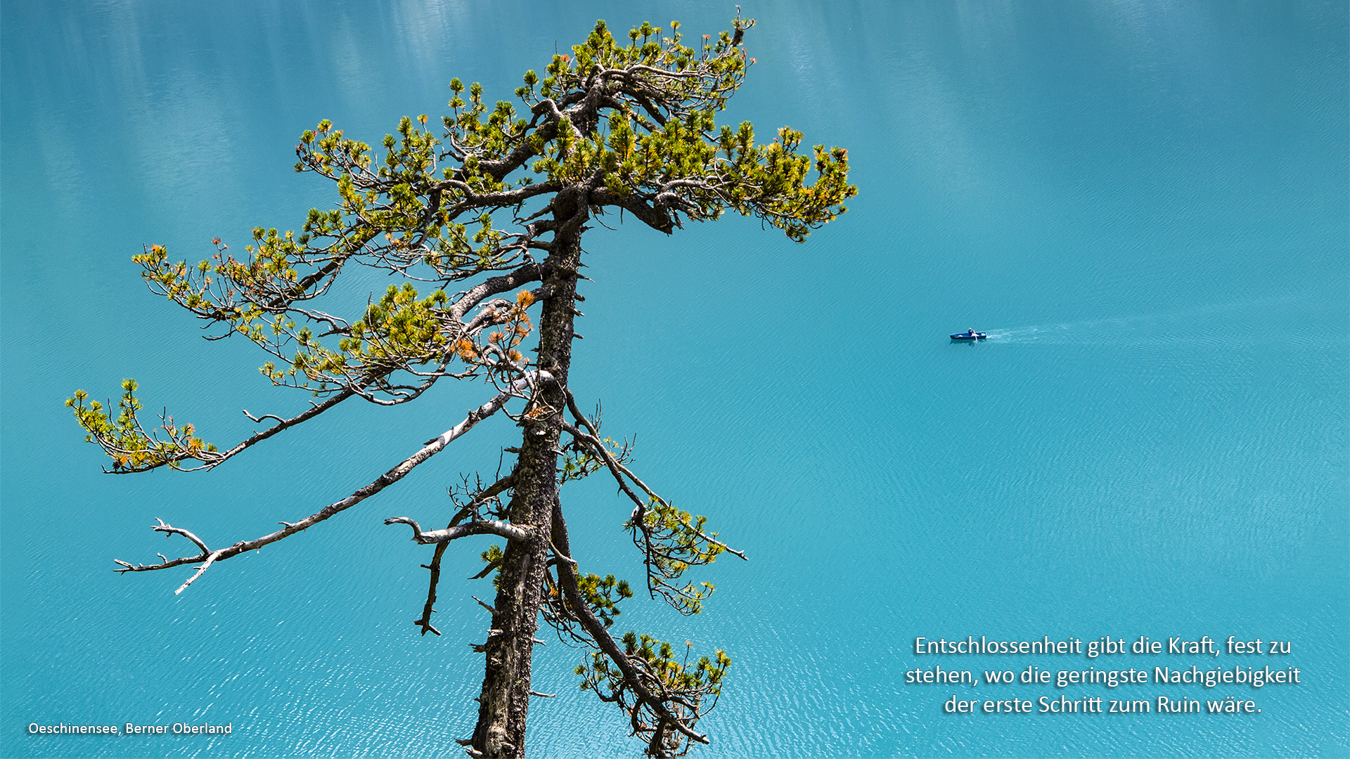 OESCHINENSEE, Berner Oberland (CH)