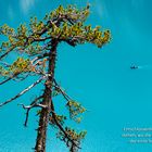 OESCHINENSEE, Berner Oberland (CH)