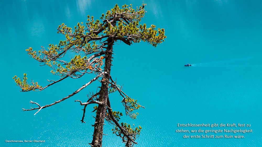 OESCHINENSEE, Berner Oberland (CH)