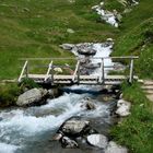oeschinensee brückchen schweiz