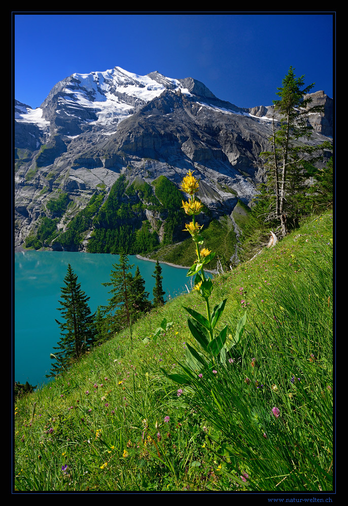 Oeschinensee