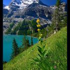 Oeschinensee