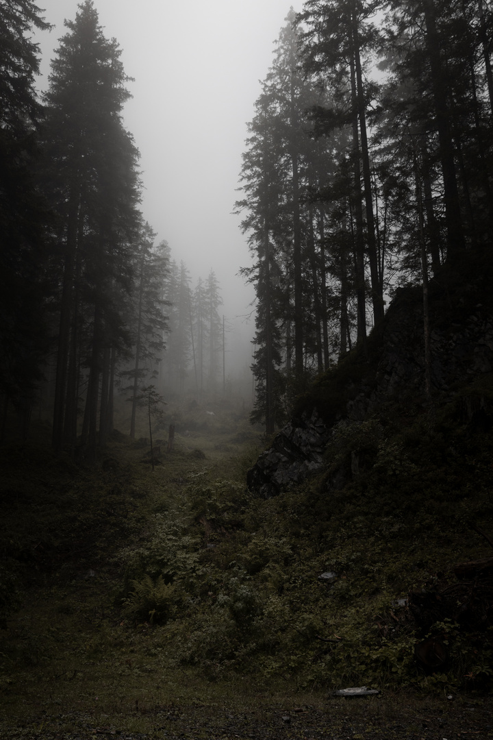 Oeschinensee im Nebel