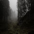 Oeschinensee im Nebel