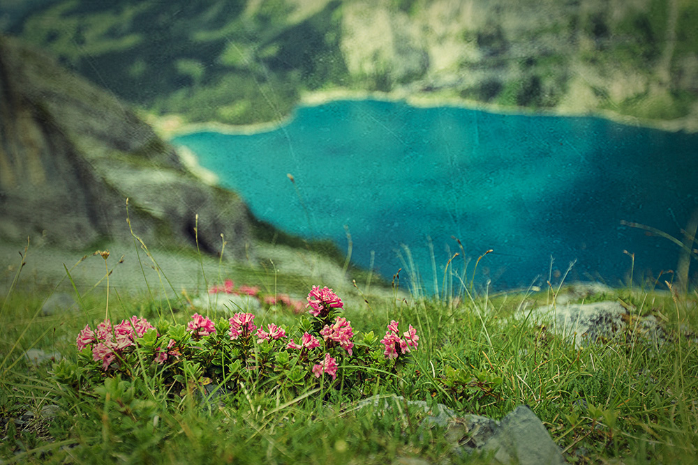 Oeschinesee-Fründehütte