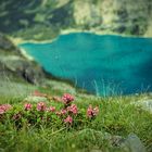 Oeschinesee-Fründehütte