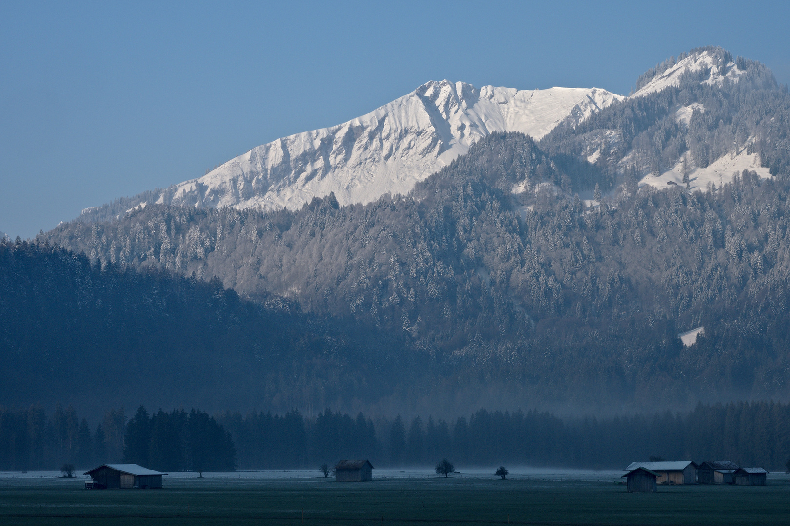 Öschwiesen am frühen Morgen