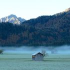 Oeschwiesen