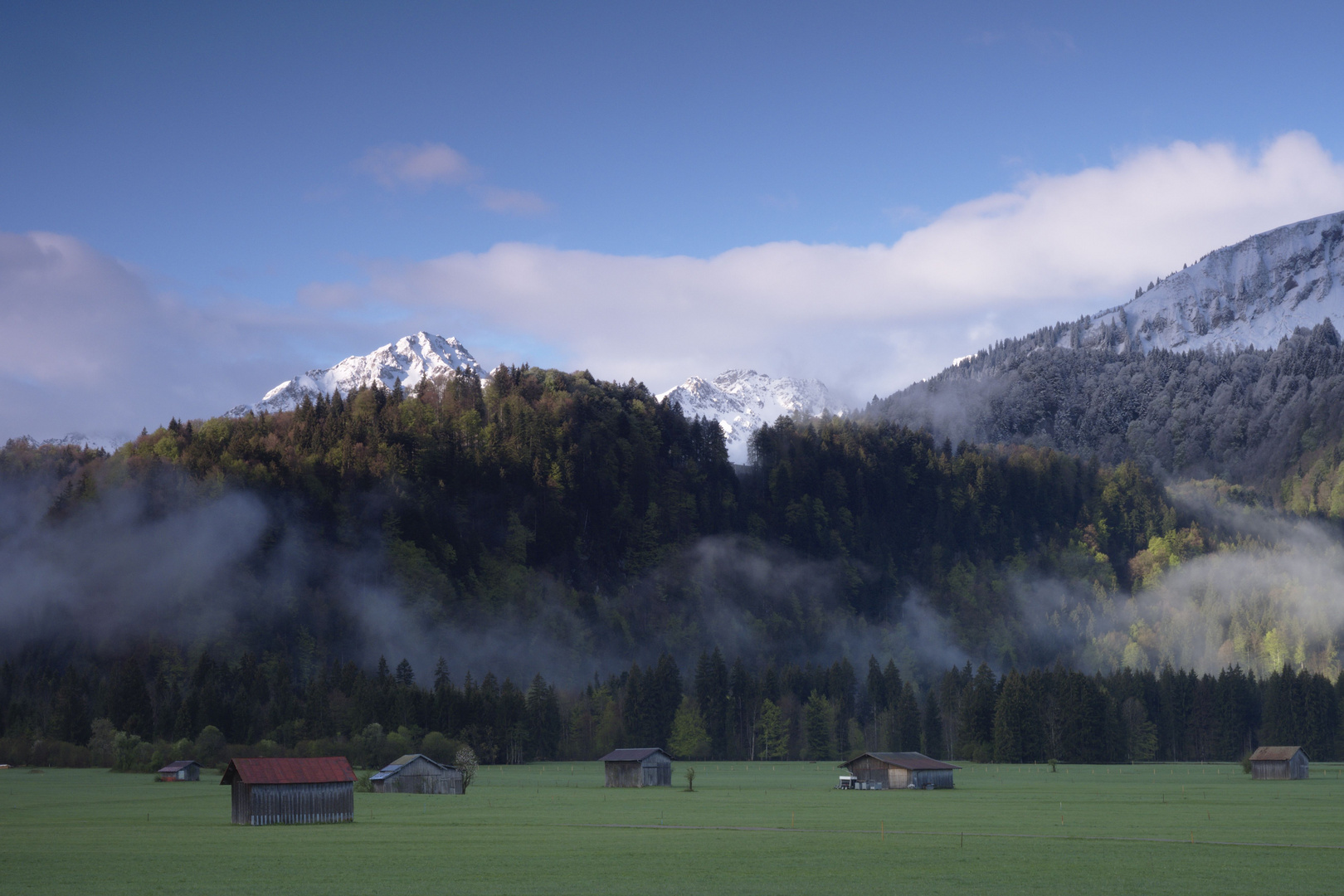 Oeschwiesen und freie Sicht