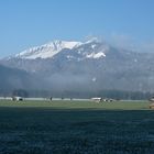 Oeschwiesen und Morgennebel