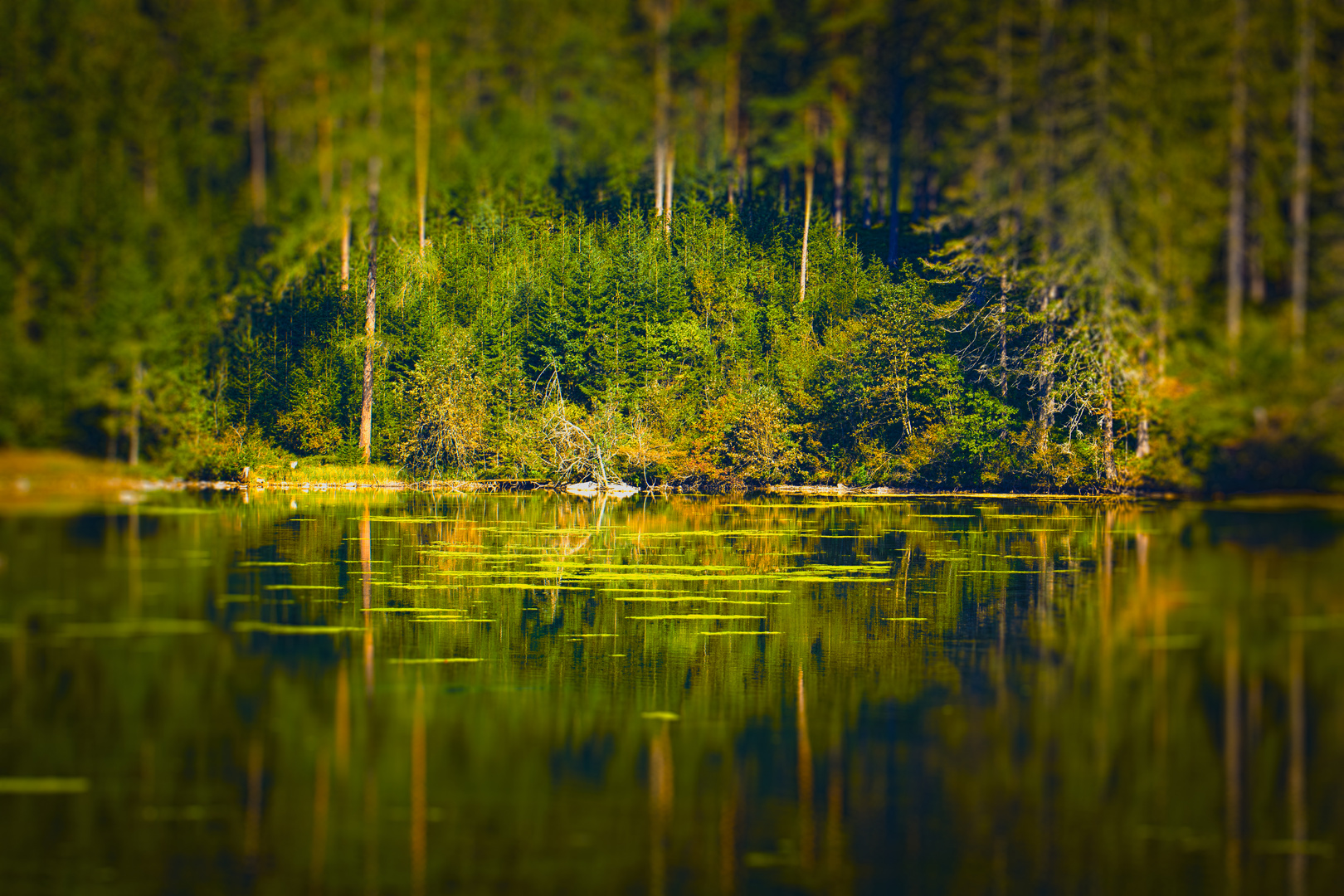  Ö,Steiermark, Tragöß, Grüner See