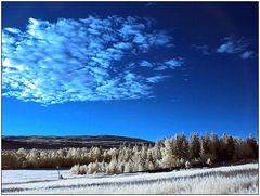 Österdalen / RV 3 in IR