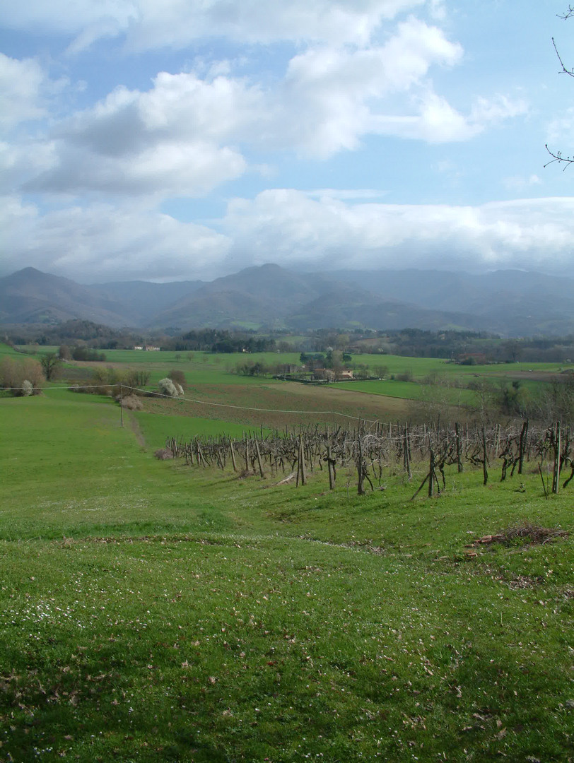 Österliche Impressionen im Mugello, ca. 30 km nordöstlich von Florenz