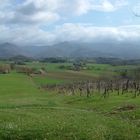 Österliche Impressionen im Mugello, ca. 30 km nordöstlich von Florenz