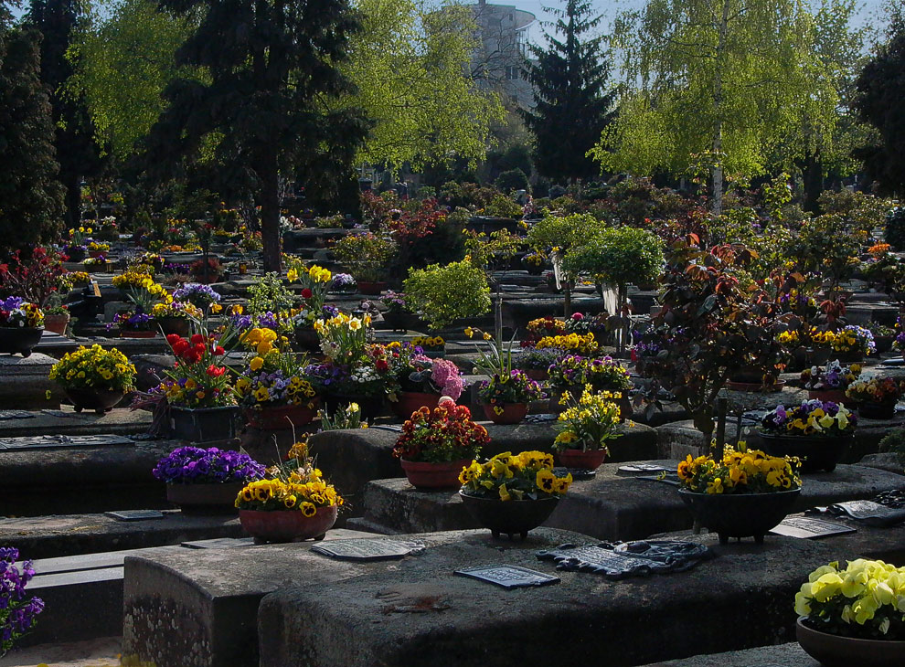 Österlicher Friedhof