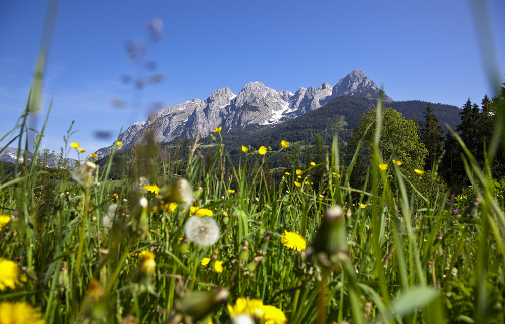 Österreich