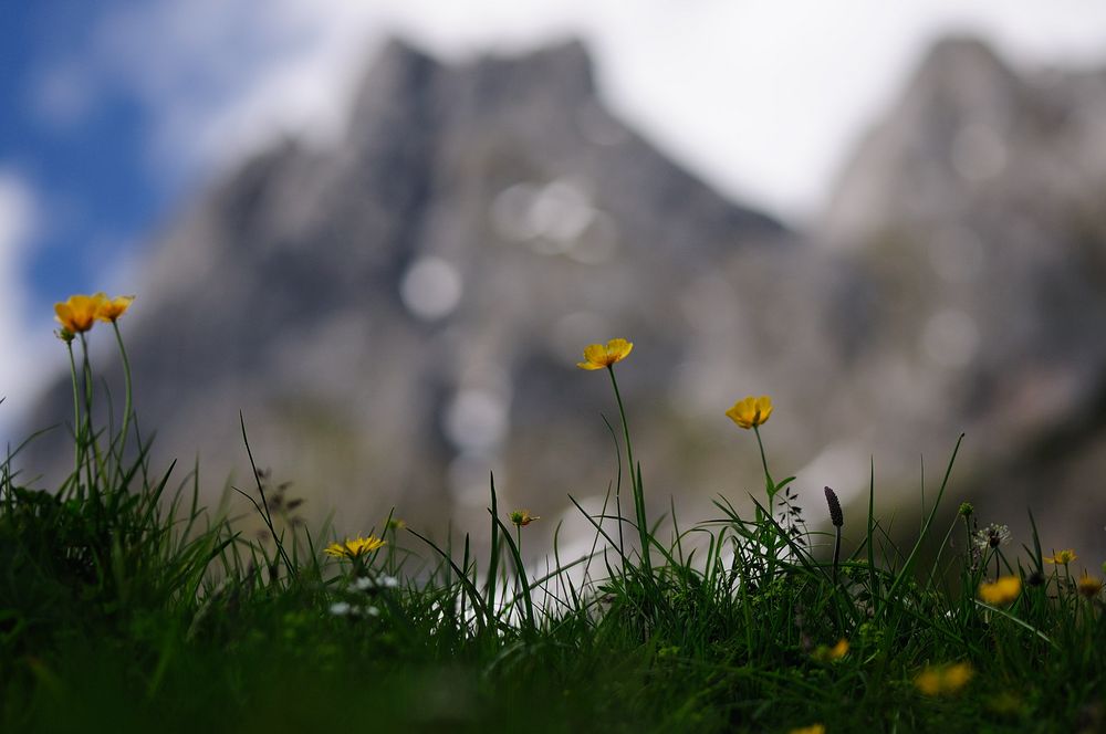 Österreich - Alpen - MariaAlm