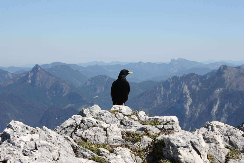 Österreich - Auf dem Feuerkogel