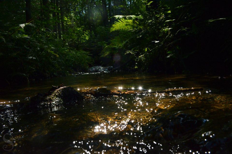 Österreich im August